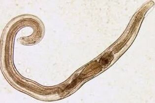 Parasites d'un homme avec des coupes